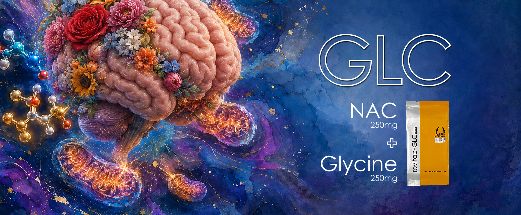 Rovitac GLC Banner